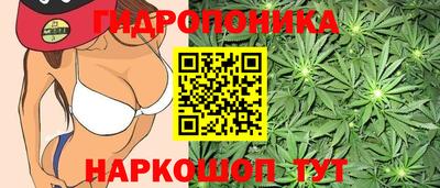 каннабис Шебекино