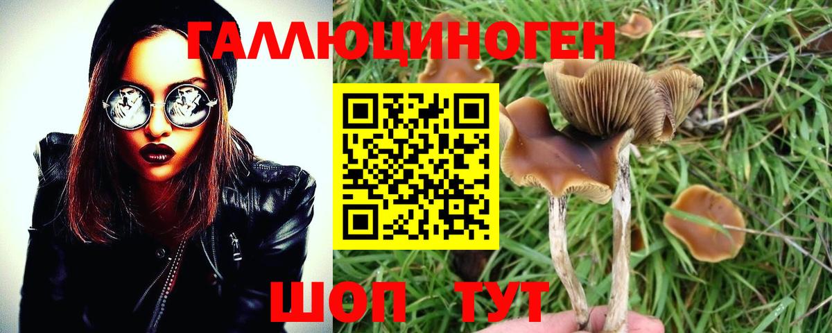 Анапа  Псилоцибиновые грибы Psilocybe  Вход с VPN  Галлюциногенные грибы GOLDEN TEACHER 